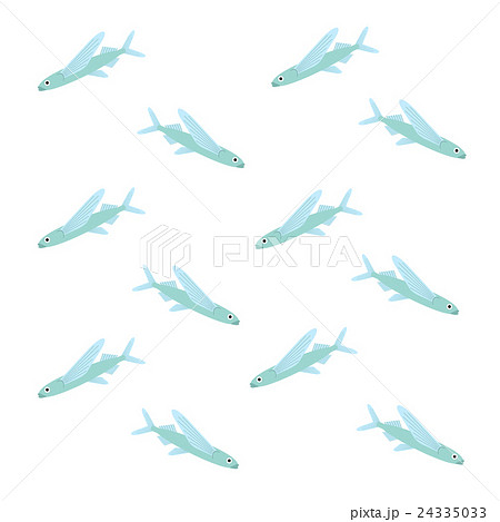 トビウオ 24335033