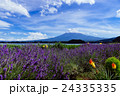 富士山 24335335