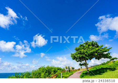 【沖縄県】知念岬公園 24336510