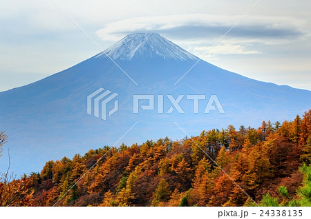 三つ峠のカラマツの黄葉と笠雲を被った富士山 三つ峠のカラマツの黄葉と笠雲を被った富士山 24338135