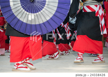 土佐の夏　よさこい祭りは楽しい　よさこい２０１６　後夜祭　全国大会　高知城会場 24338426