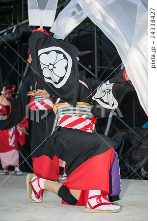 土佐の夏　よさこい祭りは楽しい　よさこい２０１６　後夜祭　全国大会　高知城会場 24338427