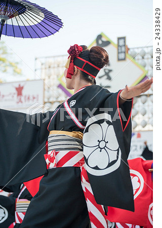 土佐の夏　よさこい祭りは楽しい　よさこい２０１６　後夜祭　全国大会　高知城会場 24338429