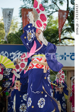 土佐の夏 よさこい祭りは楽しい よさこい２０１６ 後夜祭 全国大会 高知城会場の写真素材