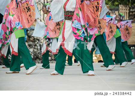 土佐の夏 よさこい祭りは楽しい よさこい2016 後夜祭 全国大会 高知城会場 土佐の夏 よさこい祭りは楽しい よさこい2016 後夜祭 全国大会 高知城会場 24338442