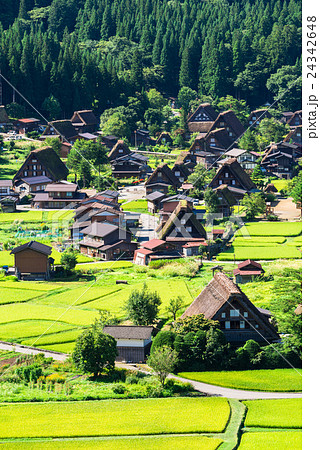 世界遺産　白川郷合掌造り集落 24342648