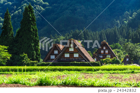 世界遺産　白川郷合掌造り集落 24342832