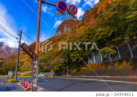 栃木県日光市　秋のいろは坂からの紅葉（10月） 24344011