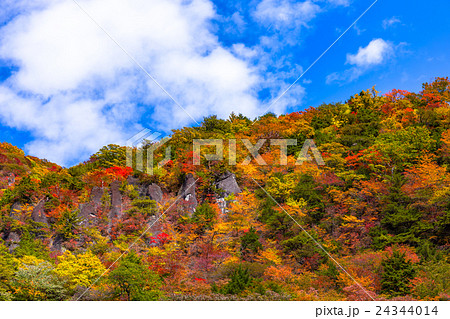 栃木県日光市 秋のいろは坂からの紅葉(10月) 栃木県日光市 秋のいろは坂からの紅葉(10月) 24344014