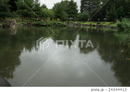 伊勢崎市民の森公園 24344413