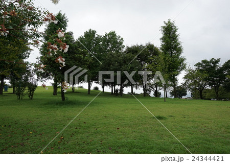 伊勢崎市民の森公園 24344421