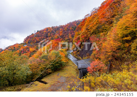 栃木県日光市 いろは坂(10月) 栃木県日光市 いろは坂(10月) 24345155