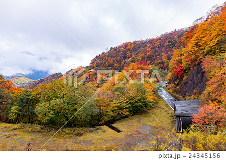 栃木県日光市　いろは坂（10月） 24345156