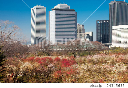風景 ビジネスパークと大阪城梅園 24345635