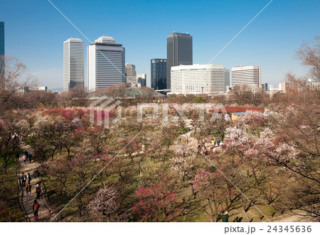 風景 ビジネスパークと大阪城梅園 24345636