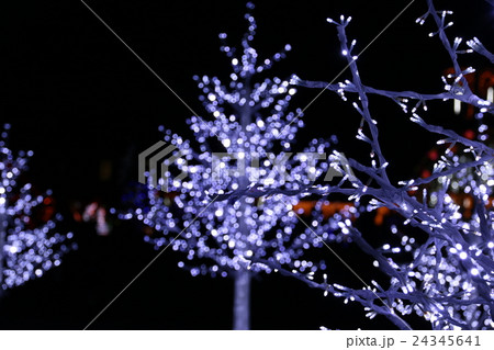 神戸イルミナージュ 24345641