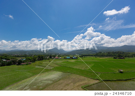 Rice field countryside Rice field countryside 24346710