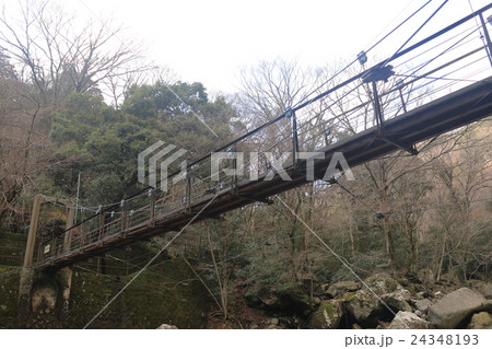 堂ヶ島渓谷 24348193