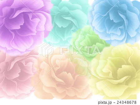 レインボーローズ2のイラスト素材