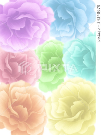 レインボーローズ3のイラスト素材