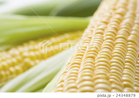 とうもろこし 24348879