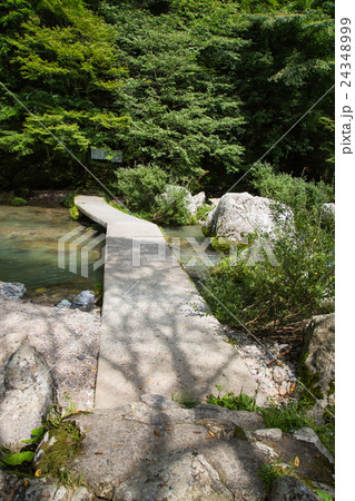 愛媛県内子町 小田深山渓谷 深山荘前の風景 愛媛県内子町 小田深山渓谷 深山荘前の風景 24348999