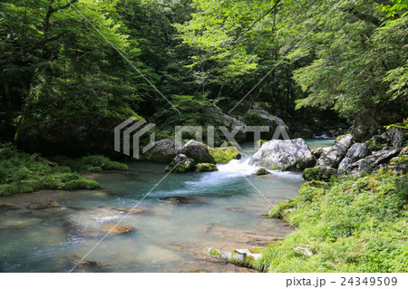 愛媛県内子町 小田深山渓谷の風景 愛媛県内子町 小田深山渓谷の風景 24349509
