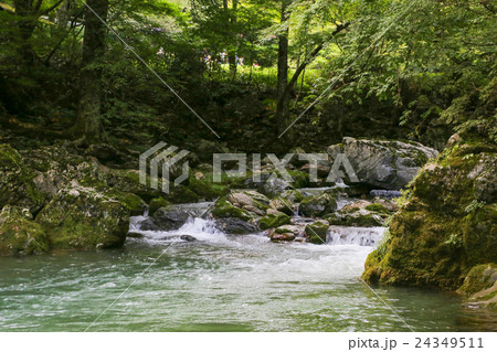 愛媛県内子町　小田深山渓谷の風景 24349511
