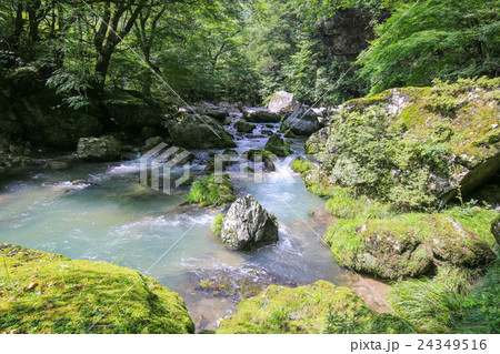 愛媛県内子町 小田深山渓谷の風景 愛媛県内子町 小田深山渓谷の風景 24349516
