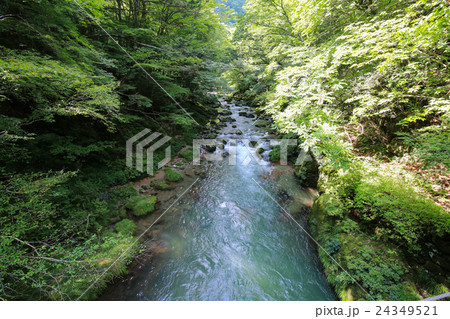愛媛県内子町 小田深山渓谷の風景 愛媛県内子町 小田深山渓谷の風景 24349521