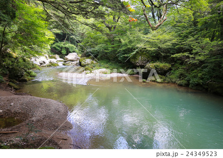 愛媛県内子町 小田深山渓谷の風景 愛媛県内子町 小田深山渓谷の風景 24349523