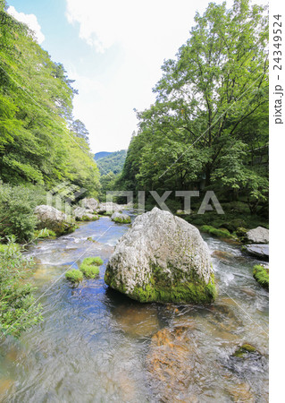愛媛県内子町 小田深山渓谷の風景 愛媛県内子町 小田深山渓谷の風景 24349524