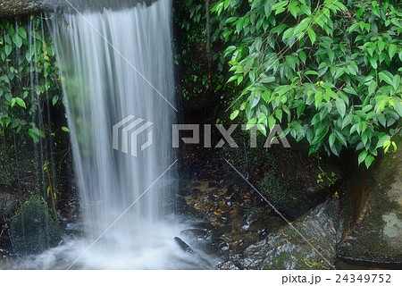 清涼な滝 24349752