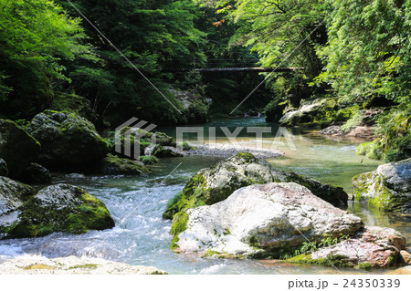 愛媛県内子町 小田深山渓谷の風景 愛媛県内子町 小田深山渓谷の風景 24350339
