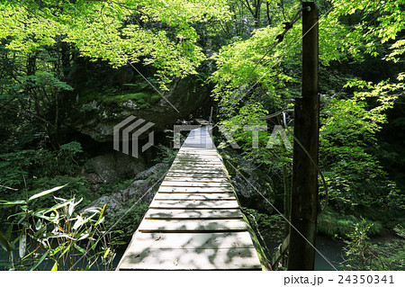 愛媛県内子町 小田深山渓谷の風景 愛媛県内子町 小田深山渓谷の風景 24350341
