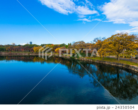 大阪城公園の濠 大阪城公園の濠 24350504