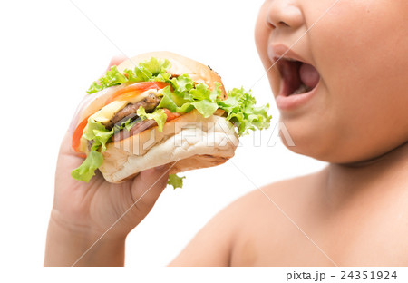 Hamburger in obese fat boy hand Hamburger in obese fat boy hand 24351924