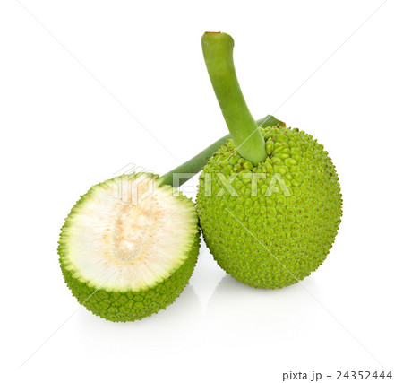 breadfruit isolate on white background 24352444