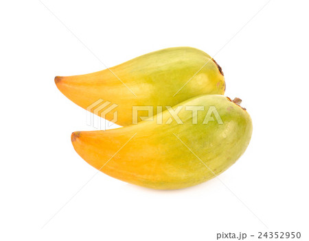 Pouteria campechiana on white background 24352950