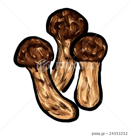 松茸 イラストのイラスト素材