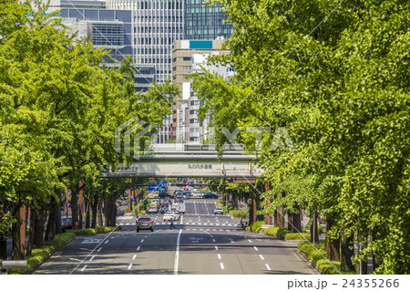 名古屋市　桜通 24355266