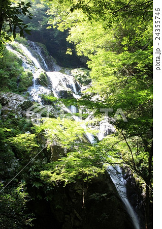 愛知県新城市・百間滝 愛知県新城市・百間滝 24355746