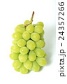 マスカット 24357266