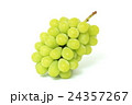 マスカット 24357267
