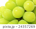マスカット 24357269