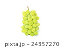 マスカット 24357270