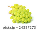 マスカット 24357273