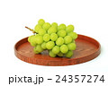 マスカット 24357274