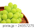 マスカット 24357275