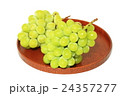 マスカット 24357277
